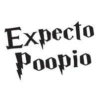 Kép 2/2 - Expecto Poopio Baba Body Ruha 2