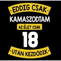 Kép 2/4 - Eddig Csak Kamaszodtam..., 18. Szülinapi Vicces Ajándék Póló 2
