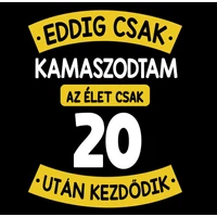 Kép 2/4 - Eddig Csak Kamaszodtam..., 20. Szülinapi Vicces Ajándék Póló 2