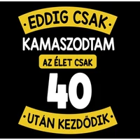 Kép 2/4 - Eddig Csak Kamaszodtam..., 40. Szülinapi Vicces Ajándék Póló 2