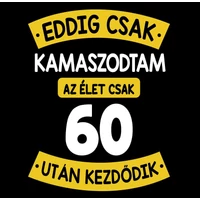 Kép 2/4 - Eddig Csak Kamaszodtam..., 60. Szülinapi Vicces Ajándék Póló 2