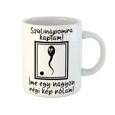 Szülinapomra Kaptam Vicces Ajándék Bögre Szülinapomra Kaptam Vicces Ajándék Bögre