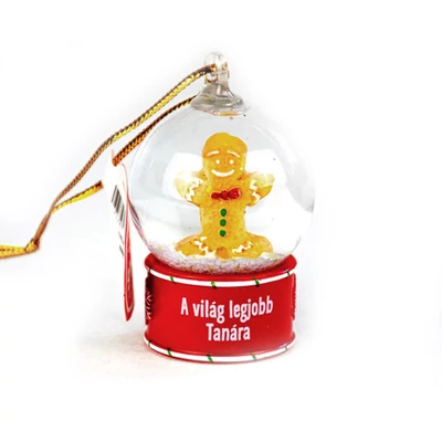 Névre Szóló Hógömb Dísz - A Világ Legjobb Tanára Felirattal