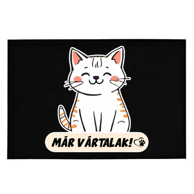 Cica Mintás Ajándék Lábtörlő: Már Vártalak!