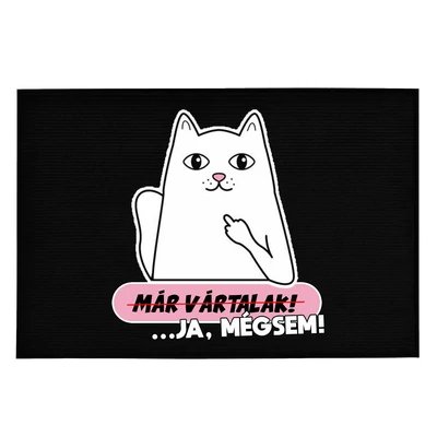 Macska Mintás Ajándék Lábtörlő: Már Vártalak, Ja Mégsem!
