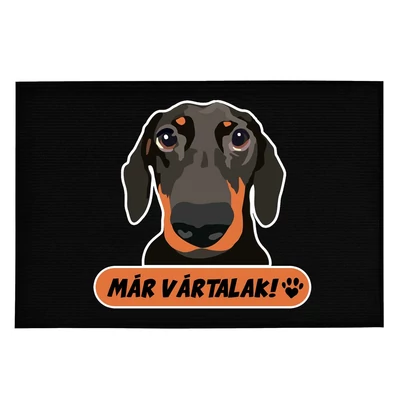 Tacskó Mintás Ajándék Lábtörlő: Már Vártalak!