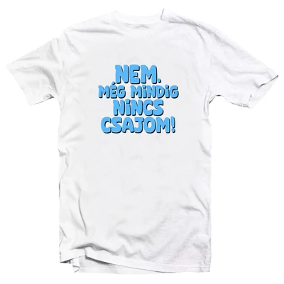 Nem. Még Mindig Nincs Csajom Vicces Ajándék Póló