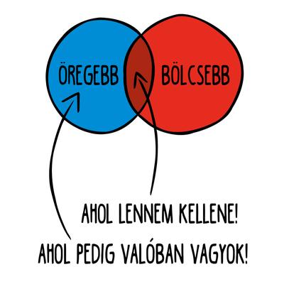 Kép 2/3 - Öregebb