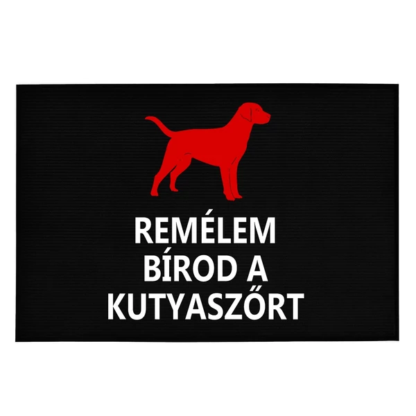 Remélem Szereted a Kutyaszőrt' Vicces, Tréfás Lábtörlő