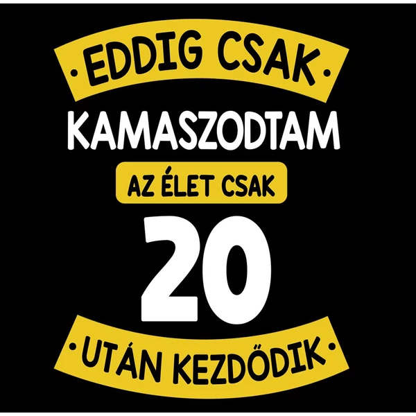 Eddig Csak Kamaszodtam..., 20. Szülinapi Vicces Ajándék Póló 2