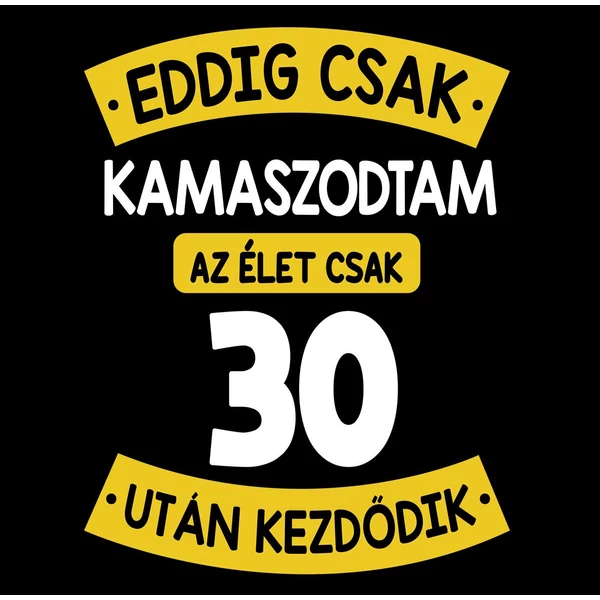 Eddig Csak Kamaszodtam..., 30. Szülinapi Vicces Ajándék Póló 2