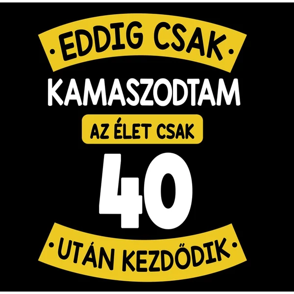 Eddig Csak Kamaszodtam..., 40. Szülinapi Vicces Ajándék Póló 2