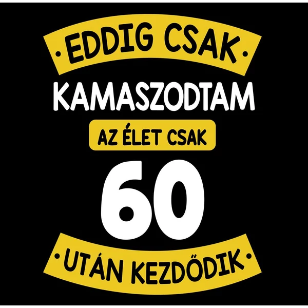 Eddig Csak Kamaszodtam..., 60. Szülinapi Vicces Ajándék Póló 2