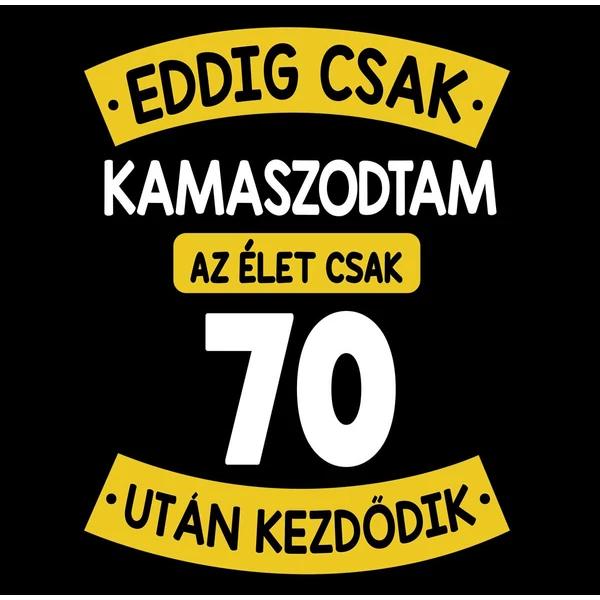 Eddig Csak Kamaszodtam..., 70. Szülinapi Vicces Ajándék Póló 2