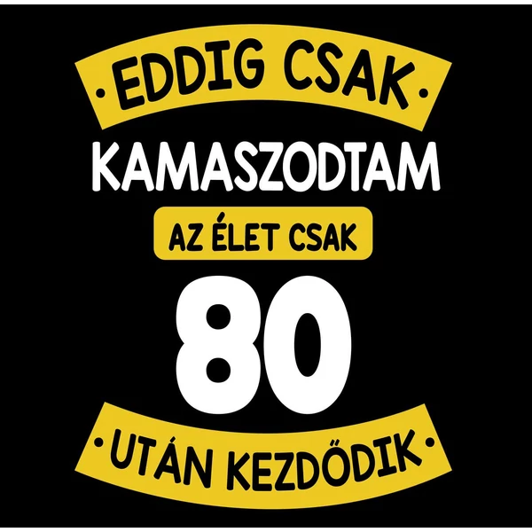 Eddig Csak Kamaszodtam..., 80. Szülinapi Vicces Ajándék Póló 2